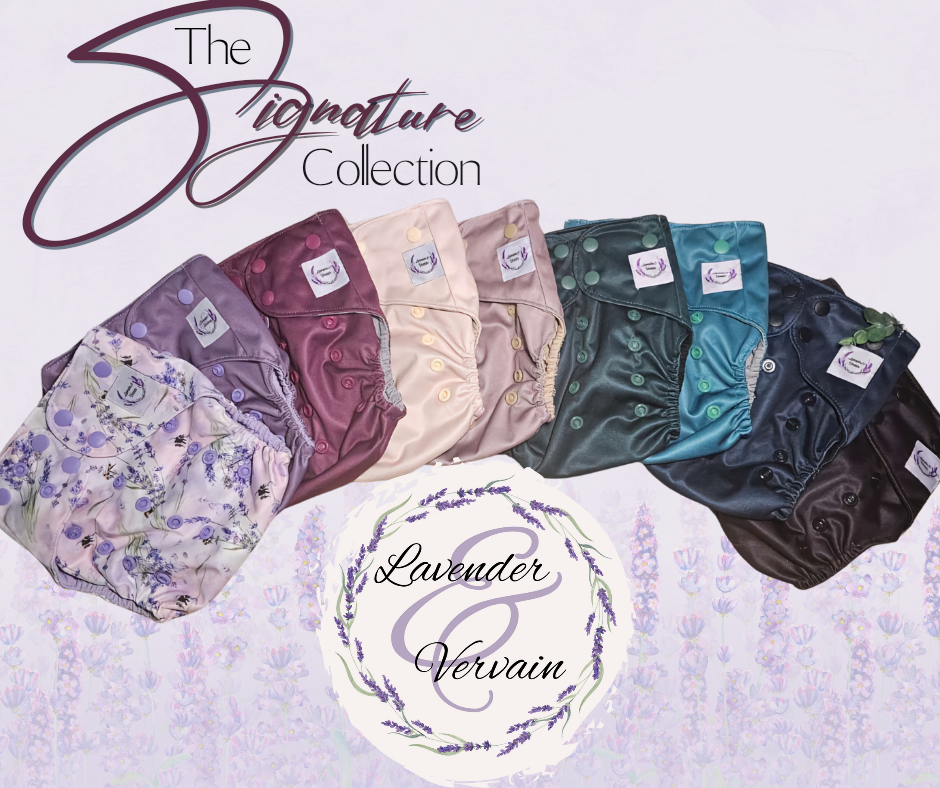 The Signature Collection Bundle